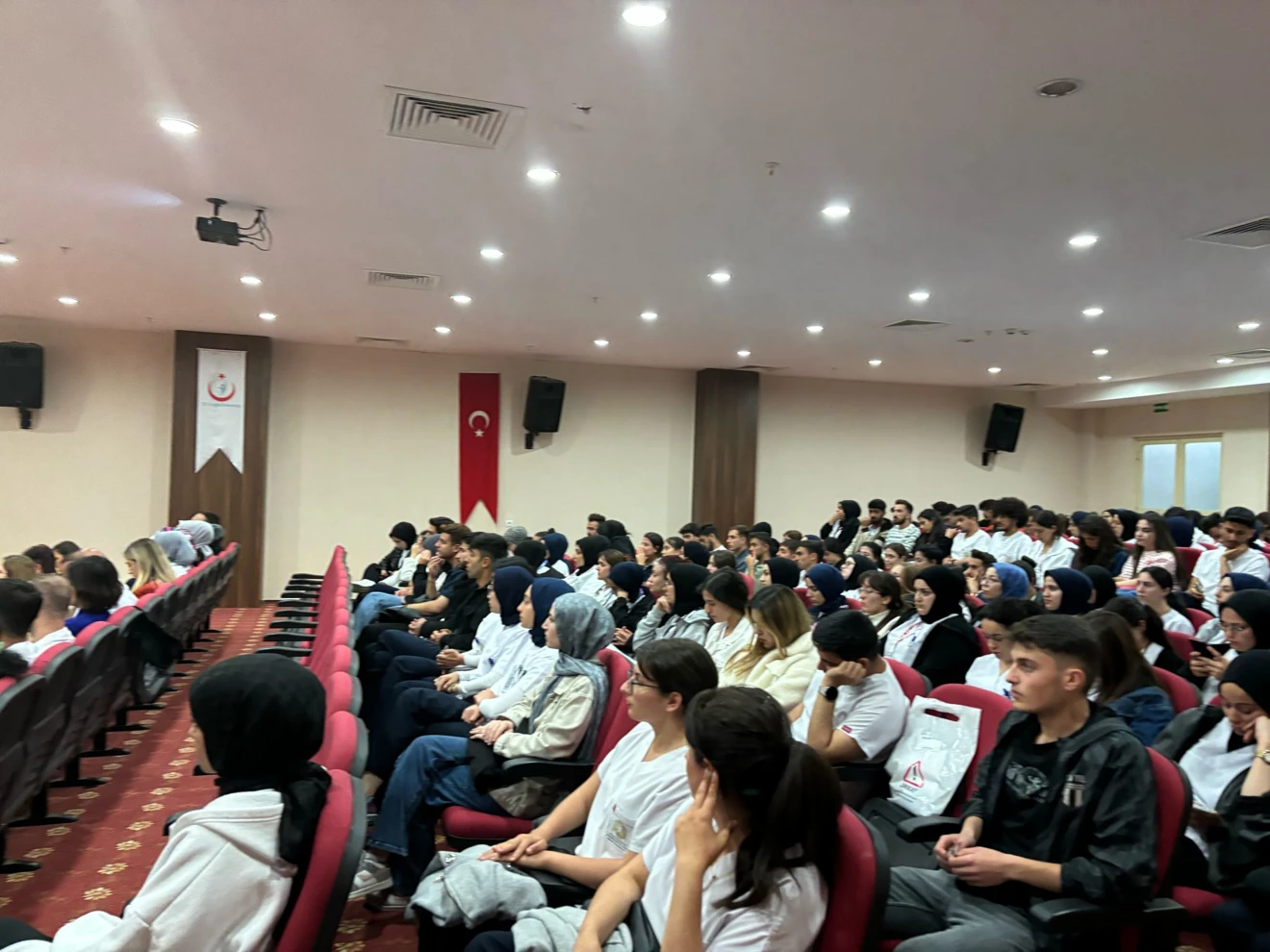 Hemşireliği Görünür Kılmak
